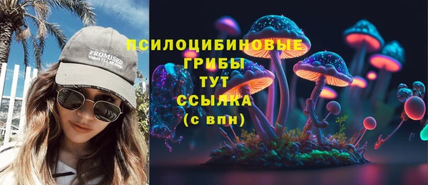 не бодяженный Алексин