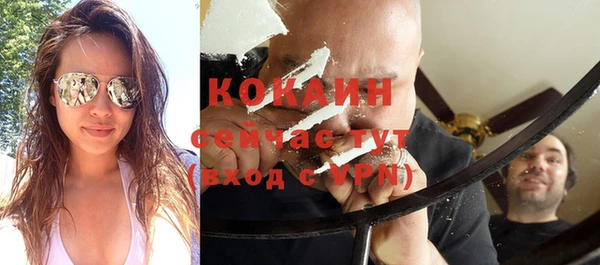 не бодяженный Алексин